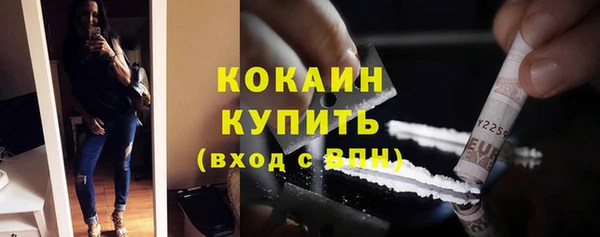 таблы Осинники