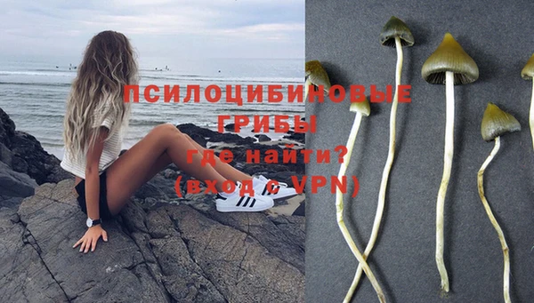 таблы Осинники