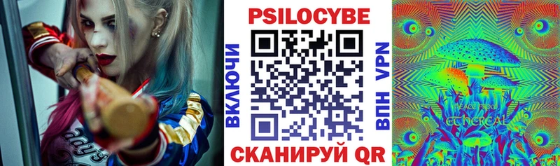 Псилоцибиновые грибы Psilocybe  OMG маркетплейс  Катав-Ивановск 